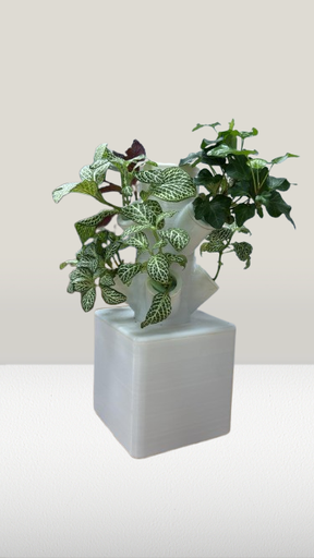 Fuente hidropónica vegetal